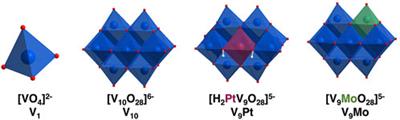 Polyoxidovanadates [MoVIVV9O28]5- and [H2PtIVVV9O28]5- interact with CHO cell plasma membrane lipids causing aggregation and activation of a G protein-coupled receptor